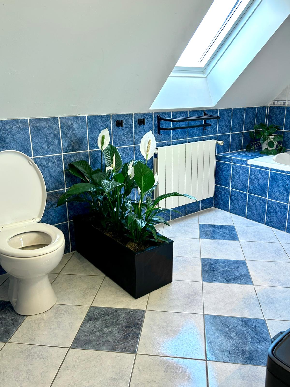 L'Échappée - Entre Terre & Mer | Côte bretonne - 12